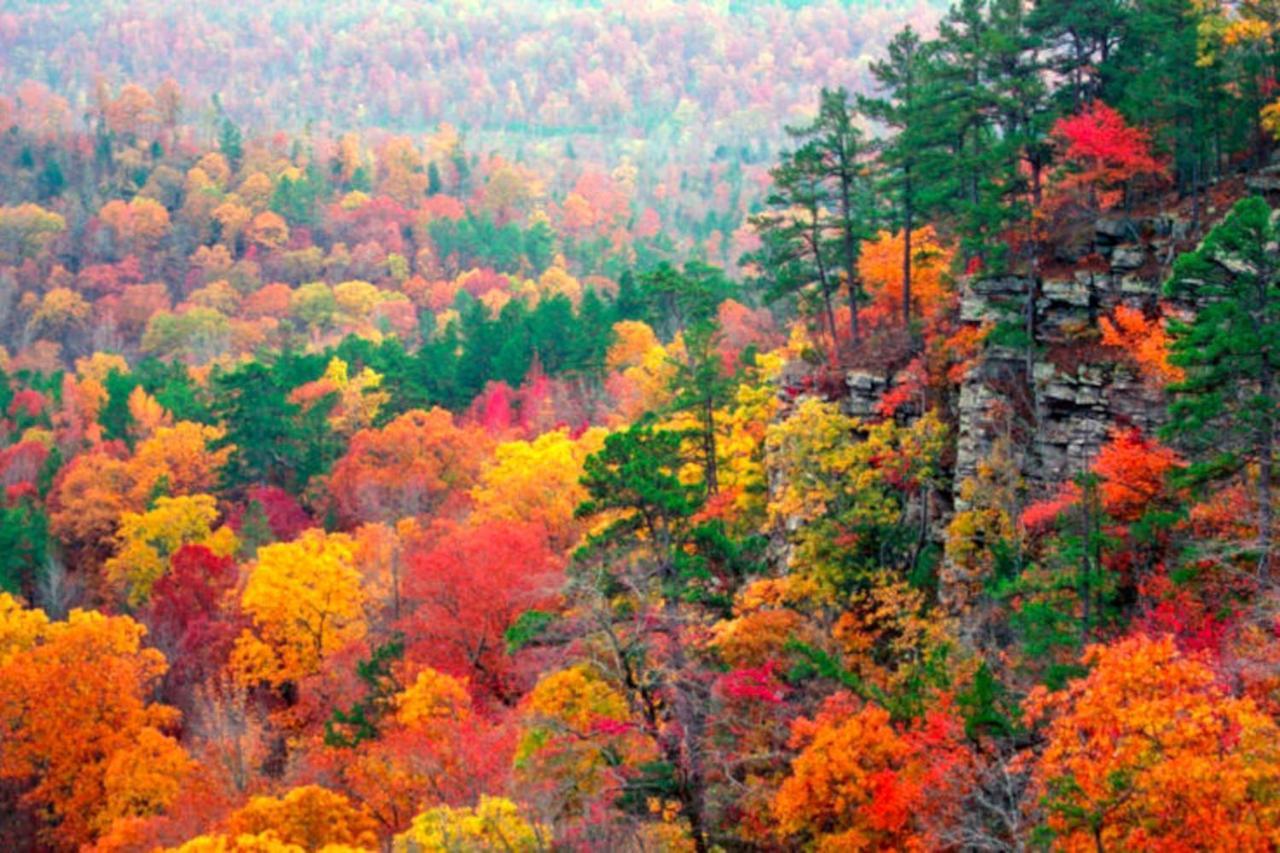 Lake Lucerne - Treehouse Cabin #01 Eureka Springs Dış mekan fotoğraf